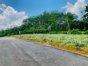 Valuable Land in Ehaliyagoda