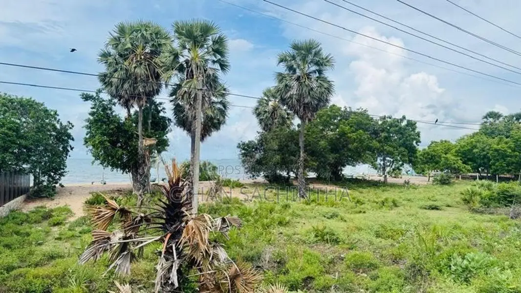 Beautiful Beachfront Land for Sale Kinniya