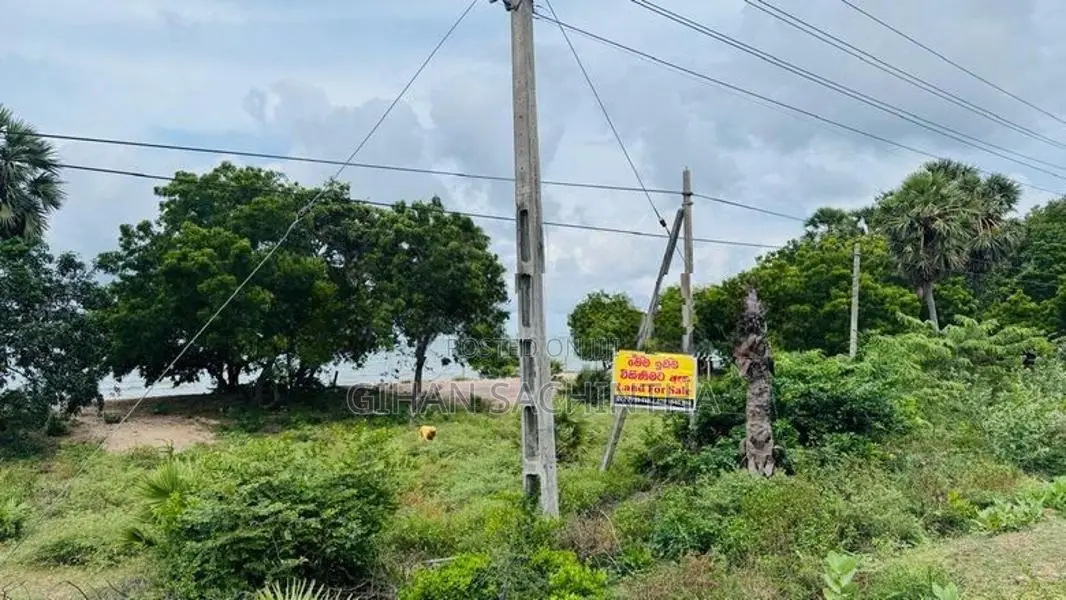 Beautiful Beachfront Land for Sale Kinniya