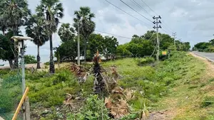 Beautiful Beachfront Land for Sale Kinniya