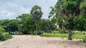 Beautiful Beachfront Land for Sale Kinniya