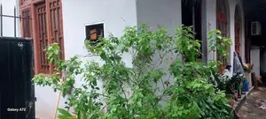 House for Sale in Mount Lavinia