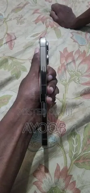 Apple iPhone 13 Pro Max (Used)
