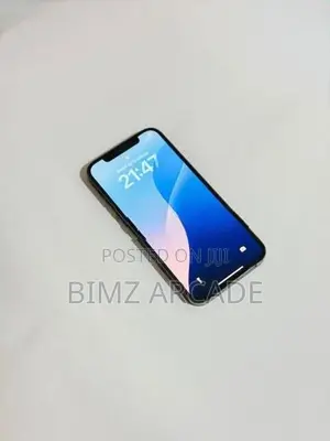 Apple iPhone 12 Pro 256GB (Used)