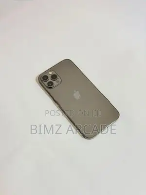Apple iPhone 12 Pro 256GB (Used)