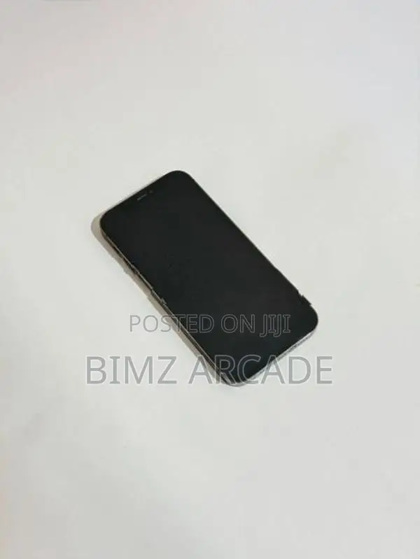 Apple iPhone 12 Pro 256GB (Used)