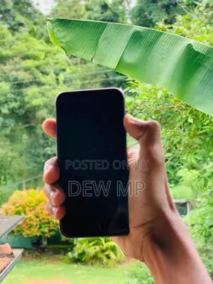 Apple iPhone 8 64GB (Used)