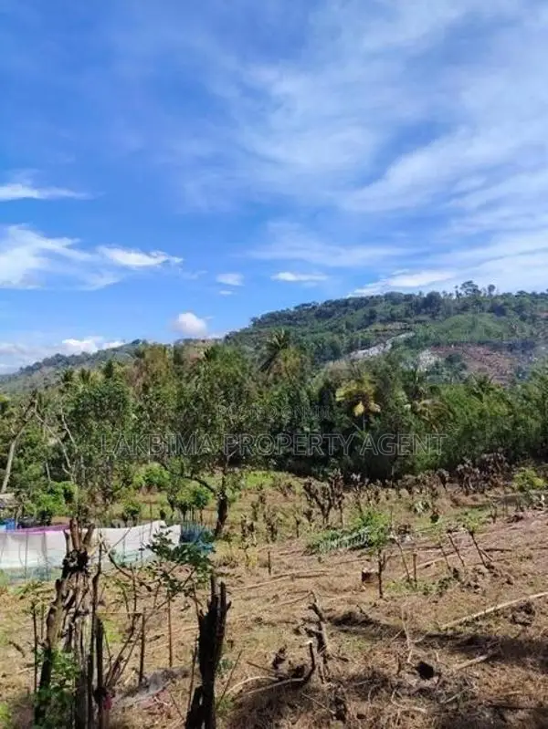Land For Sale IN Kandy Marassana