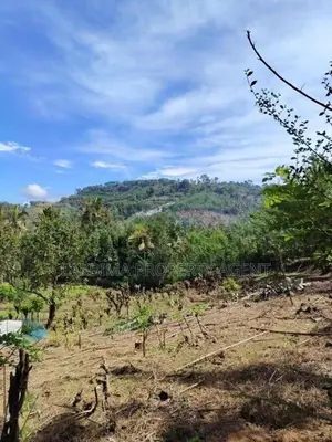 Land For Sale IN Kandy Marassana