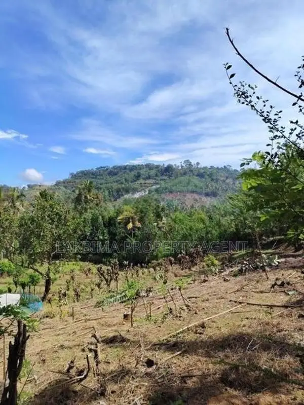 Land For Sale IN Kandy Marassana