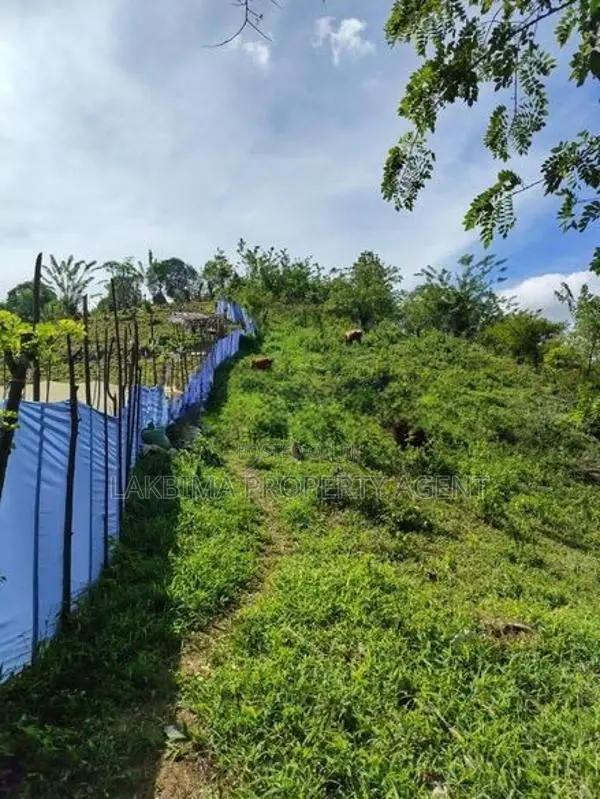 Land For Sale IN Kandy Marassana