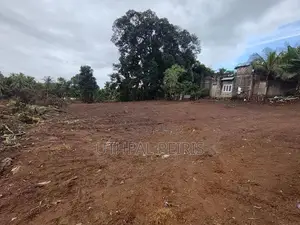 පානදුරෙන් විකිණීමට ඉඩම