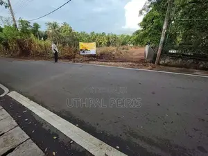 පානදුරෙන් විකිණීමට ඉඩම