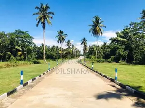 දික්වැල්ල නගරයේ මුහුදට අසන්නයෙන් හොදම ඉඩම්
