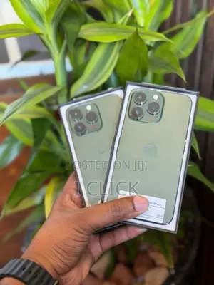 Apple iPhone 13 Pro 256GB (Used)