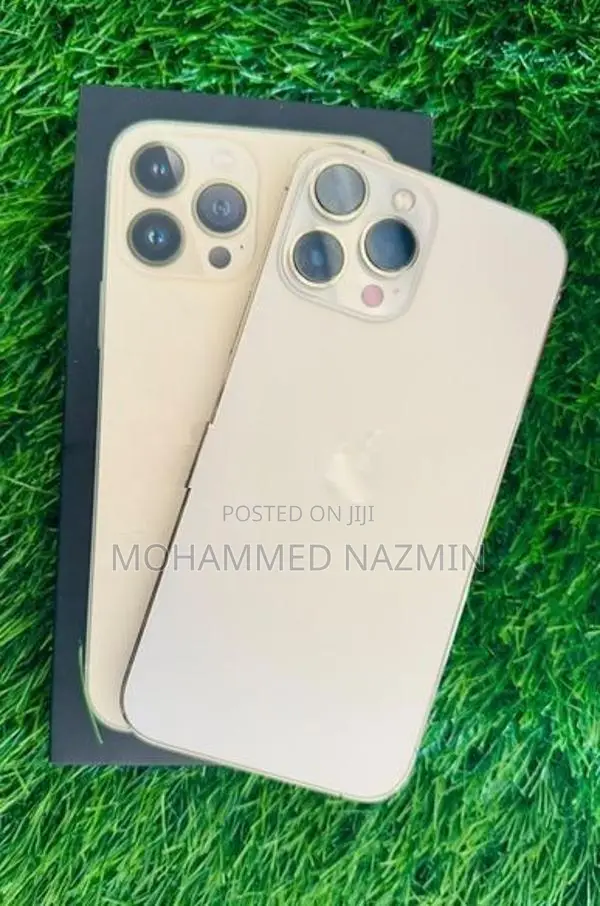 Apple iPhone 13 Pro Max LLA (Used)