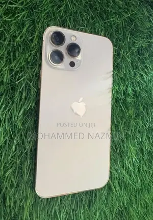 Apple iPhone 13 Pro Max LLA (Used)
