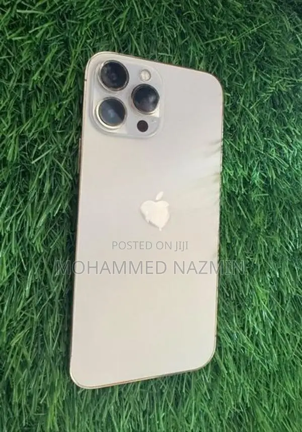 Apple iPhone 13 Pro Max LLA (Used)