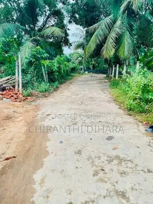 71P Land for Sale in Beliatta, Sitinamaluwa