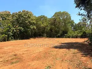 71P Land for Sale in Beliatta, Sitinamaluwa