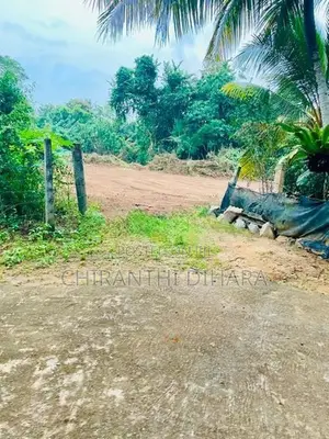 71P Land for Sale in Beliatta, Sitinamaluwa