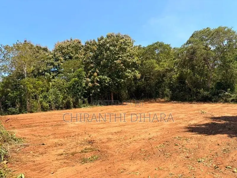 71P Land for Sale in Beliatta, Sitinamaluwa