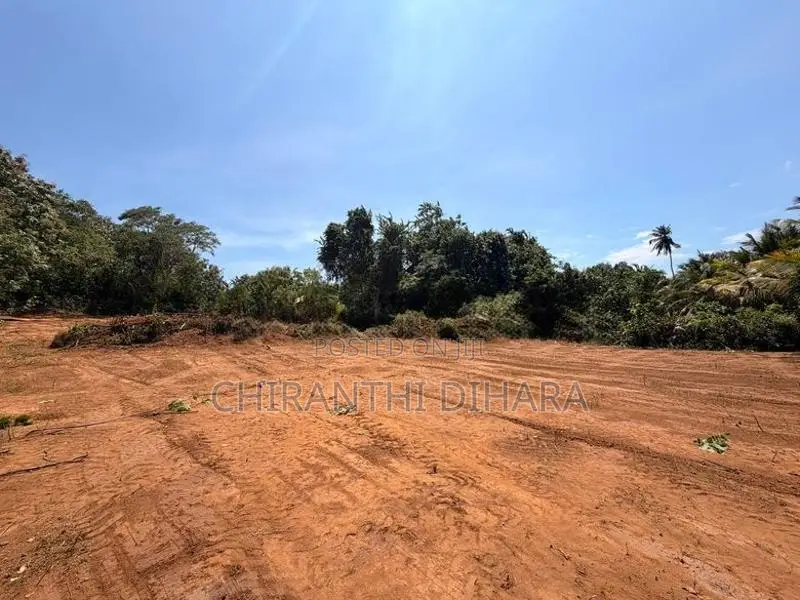 71P Land for Sale in Beliatta, Sitinamaluwa