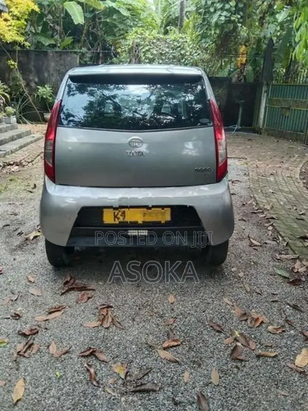 Tata Nano 2011