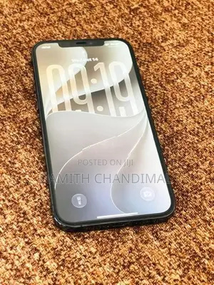 Apple iPhone 12 Pro Max (Used)