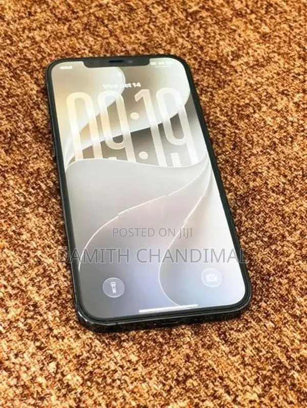 Apple iPhone 12 Pro Max (Used)