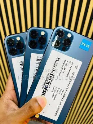 Apple iPhone 12 Pro 256GB (Used)
