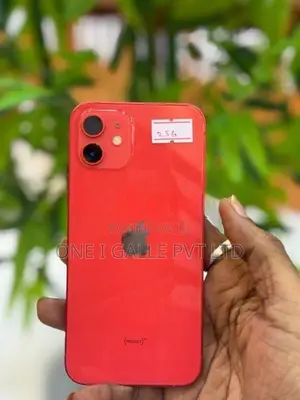 Apple iPhone 12 256GB (Used)