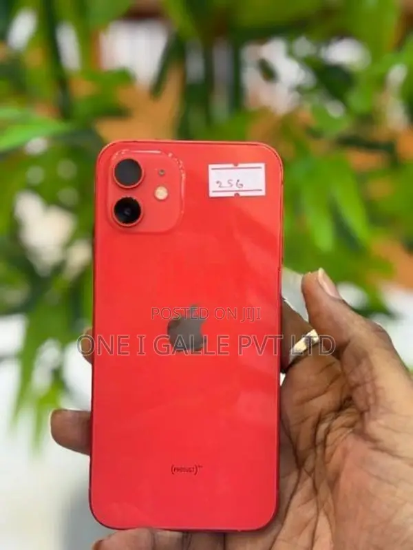 Apple iPhone 12 256GB (Used)