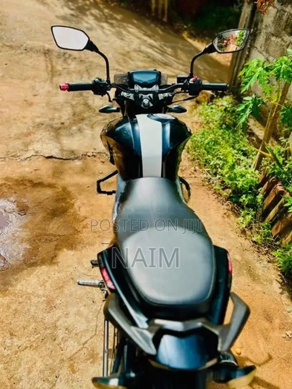 TVS Apache RTR 160 4V 2019