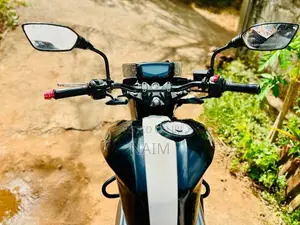 TVS Apache RTR 160 4V 2019