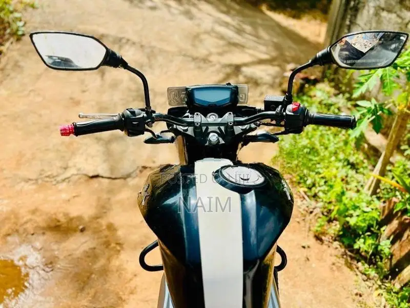 TVS Apache RTR 160 4V 2019