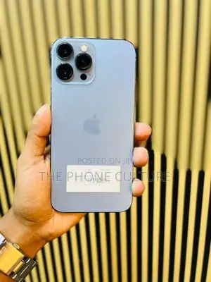 Apple iPhone 13 Pro Max 256GB (Used)
