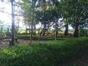 Land With House Sale In Mahiyanganaya