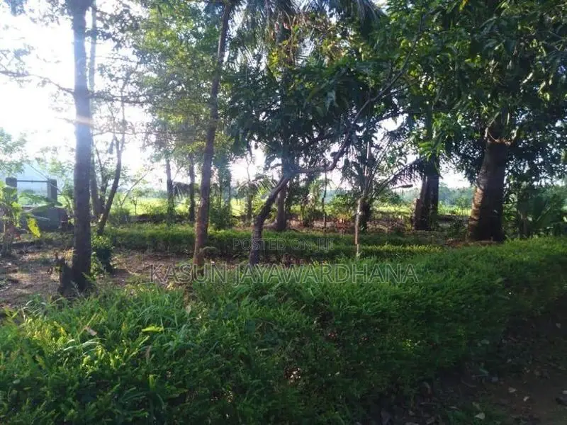Land With House Sale In Mahiyanganaya