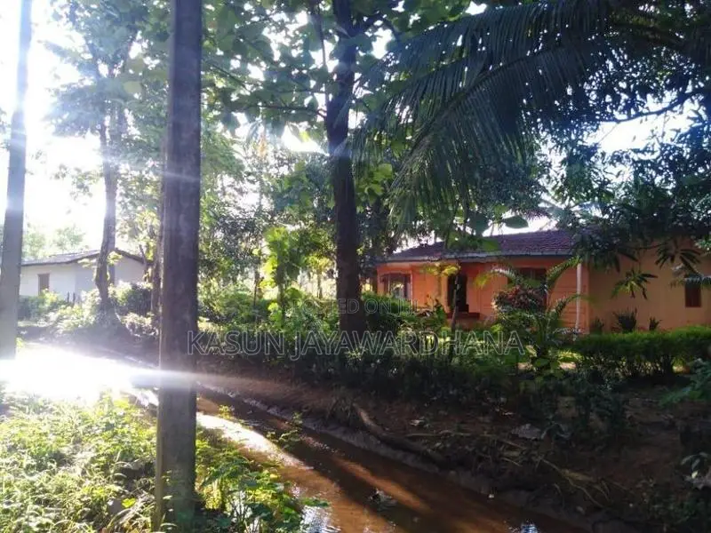 Land With House Sale In Mahiyanganaya