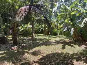10.perch Land For Sale Nugegoda
