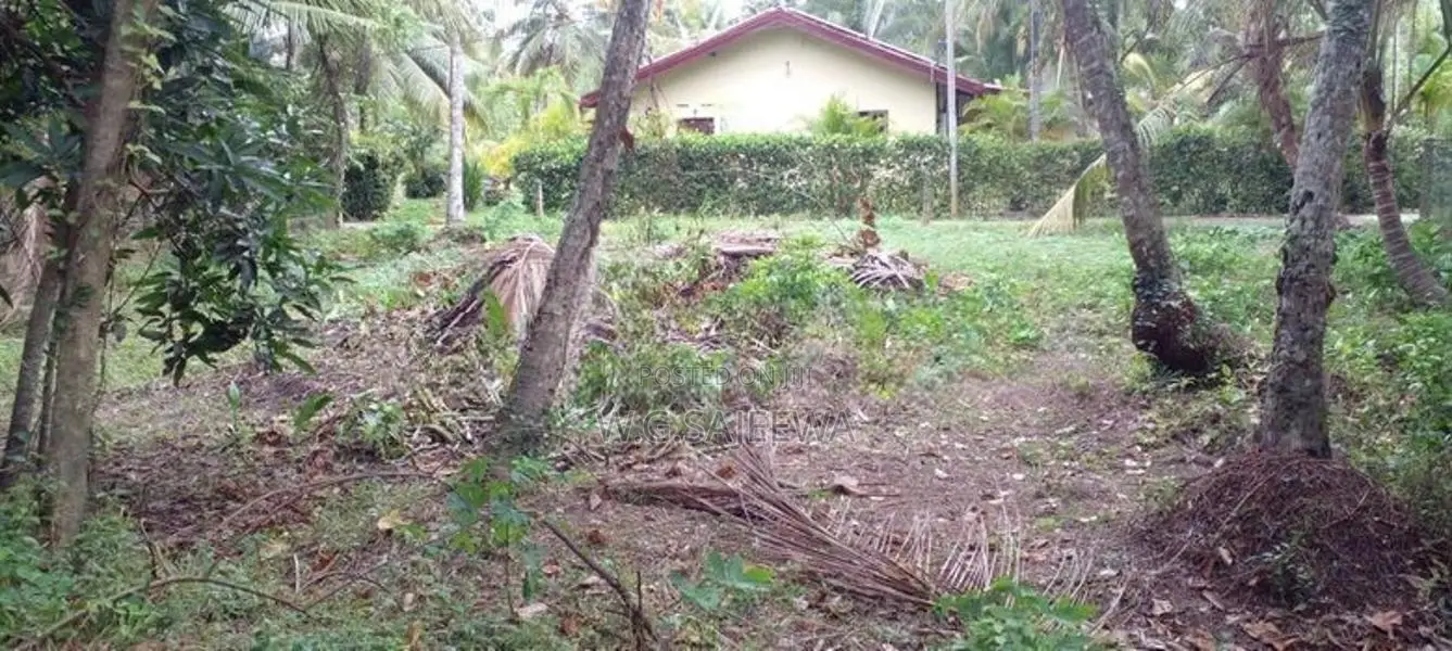 15.85 Perch Land for Sale Seeduwa, Dabadurayen