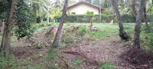 15.85 Perch Land for Sale Seeduwa, Dabadurayen