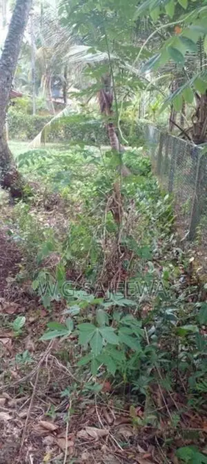 15.85 Perch Land for Sale Seeduwa, Dabadurayen