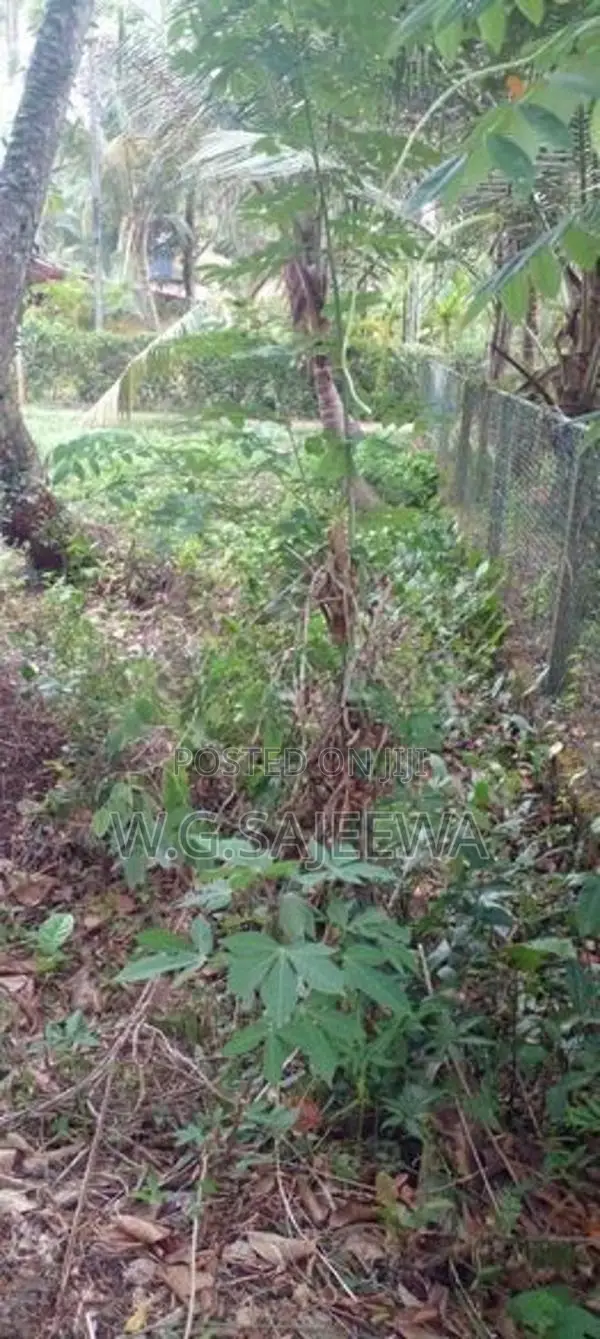 15.85 Perch Land for Sale Seeduwa, Dabadurayen