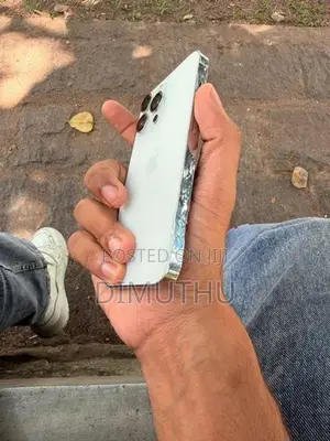 Apple iPhone 13 Pro (Used)