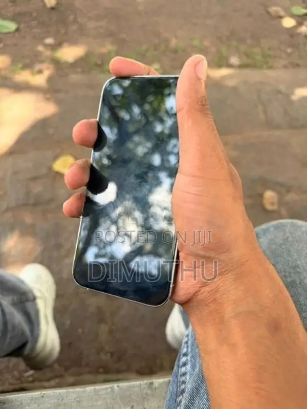 Apple iPhone 13 Pro (Used)