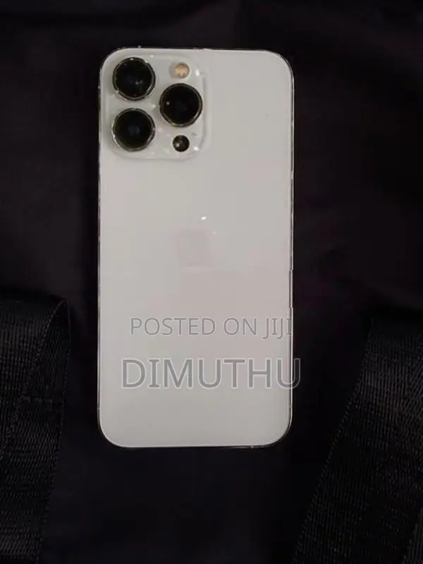 Apple iPhone 13 Pro (Used)