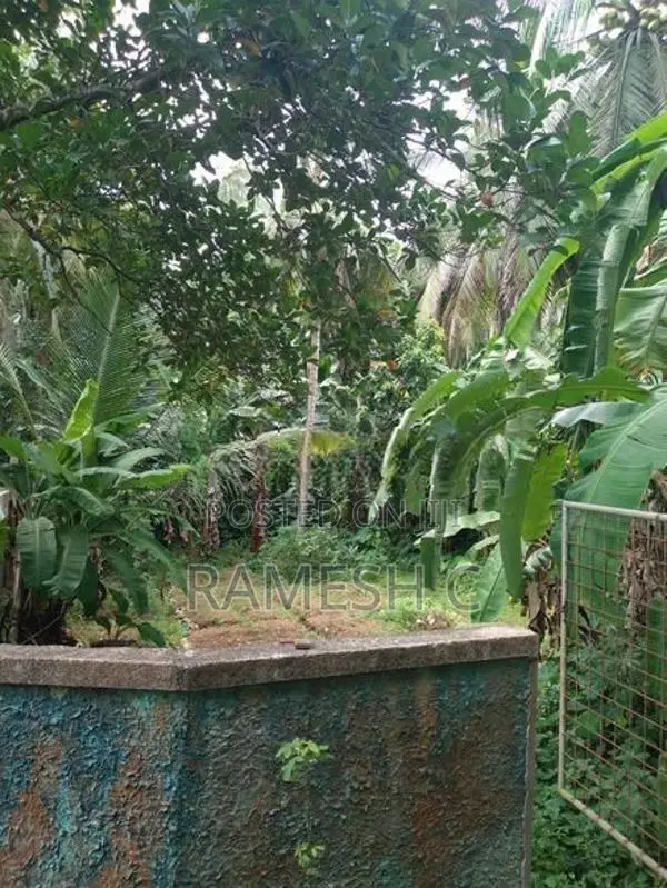 Land For Sale Palatota, Kalutara