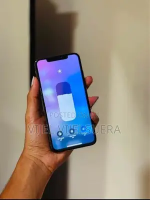 Apple iPhone XS Max 256GB (Used)